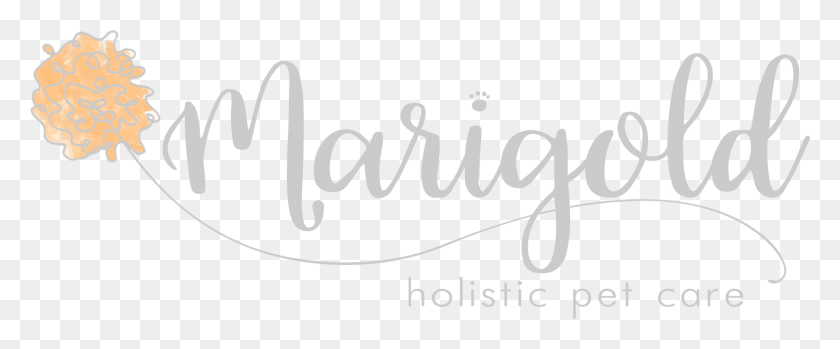 1603x594 Marigold Gray Logo Calligraphy, Text, Handwriting, Alphabet HD PNG Download