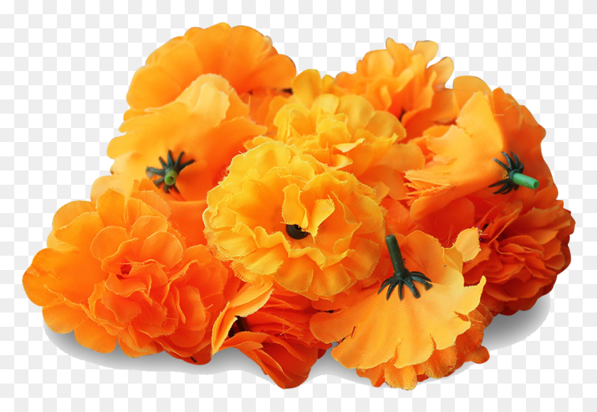 919x613 Marigold Transparent Image Marigold, Geranium, Flower, Plant HD PNG Download