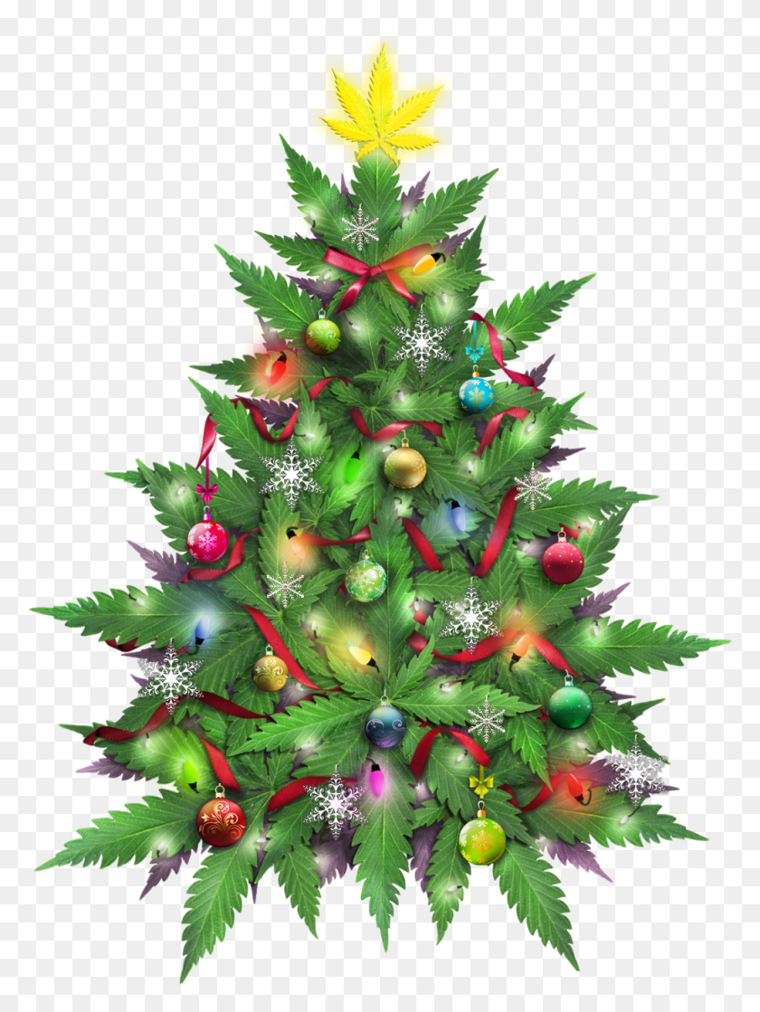 989x1344 Marijuana Christmas Tree Marijuana Christmas Cards, Tree, Ornament, Plant HD PNG Download