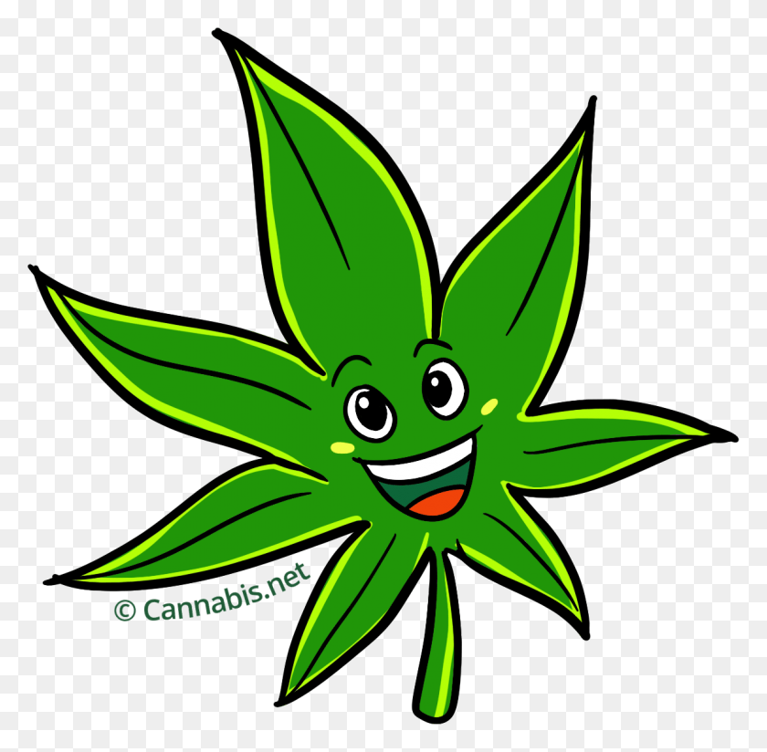 1157x1134 Marijuana Clipart Daun Cannabis Cartoon, Plant, Leaf, Symbol HD PNG Download