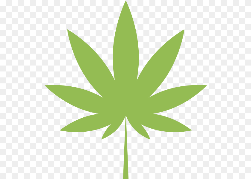 545x601 Marijuana Clipart Marijuana Plants Leaf, Plant, Weed, Animal, Fish Sticker PNG