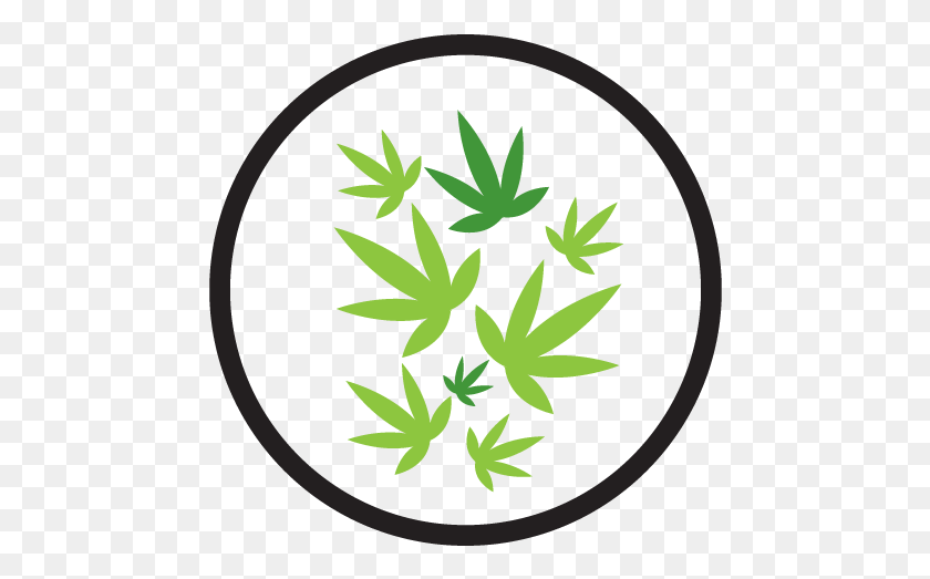 464x463 Descargar Png / Emblema De Productores De Marihuana, Hoja, Planta, Hierba Hd Png