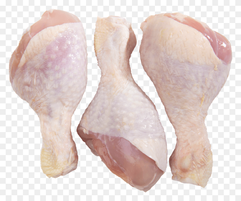 1307x1073 Marion Bay Free Range Chicken Drumsticks, Animal, Conch, Seashell HD PNG Download