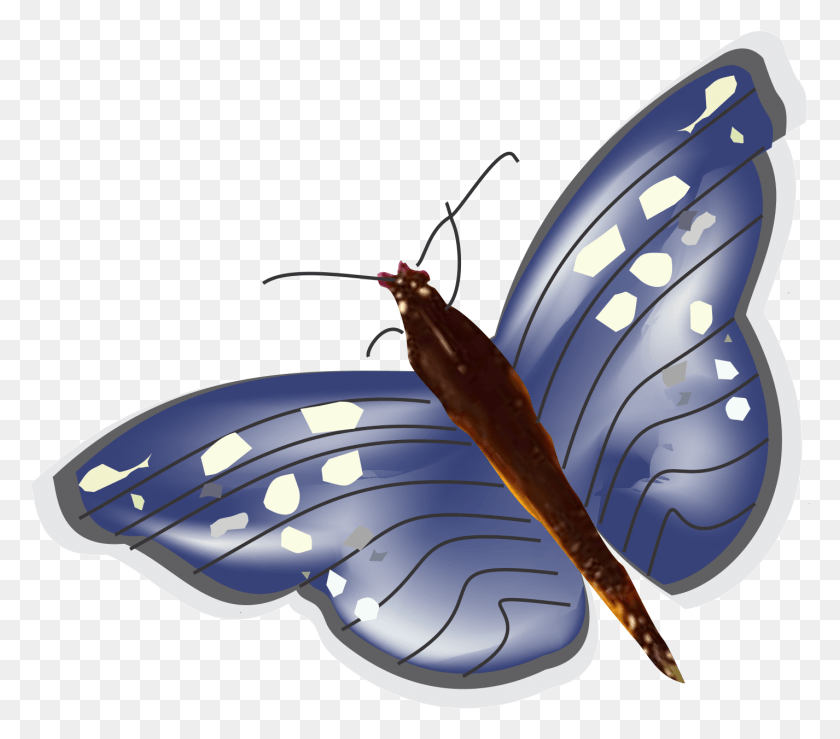 1426x1242 Mariposa, Invertebrate, Animal, Insect HD PNG Download