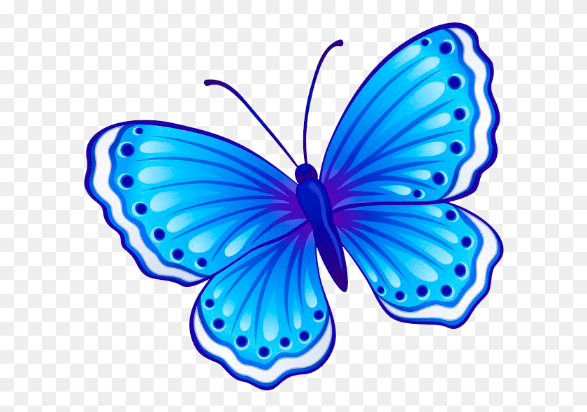 602x529 Mariposa Butterfly Images Drawing With Colour, Insect, Invertebrate, Animal HD PNG Download
