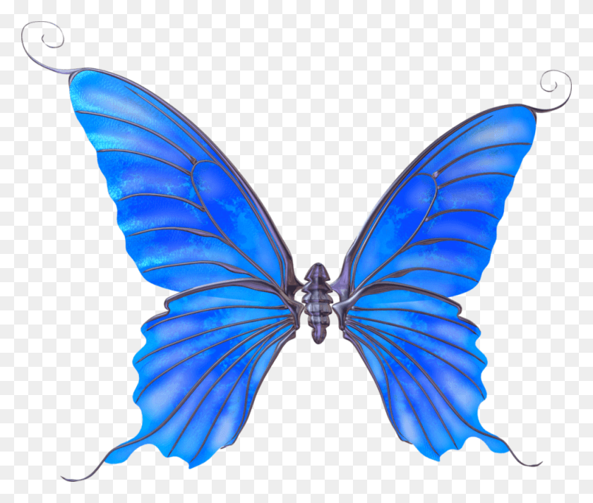 976x818 Mariposas Azules Papilio, Pattern, Ornament, Insect HD PNG Download