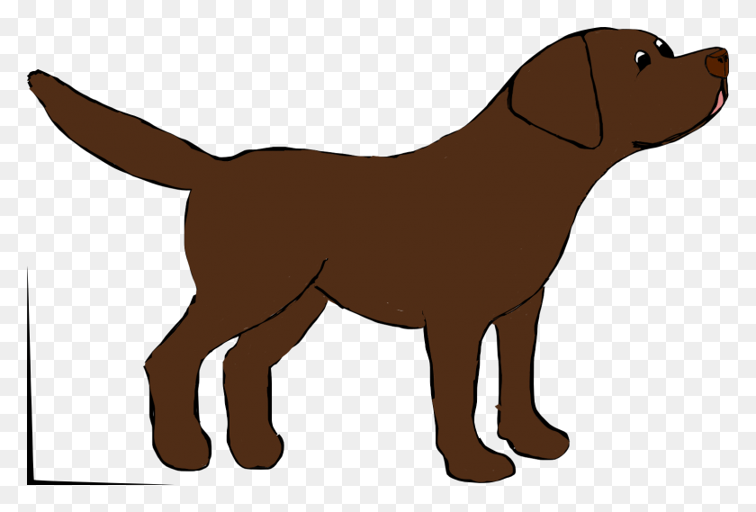 1574x1028 Marley The Chocolate Labrador Chocolate Lab Drawing Cartoon, Mammal, Animal, Horse HD PNG Download