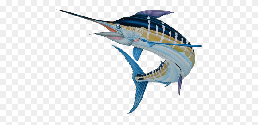 477x350 Marlin 1 L Atlantic Blue Marlin, Swordfish, Sea Life, Fish HD PNG Download