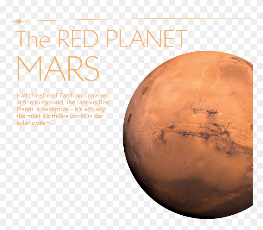 1509x1305 Mars Is The Outermost Of The Rocky Planets That Dominate Highest Mountain In Planet, Outer Space, Astronomy, Space HD PNG Download