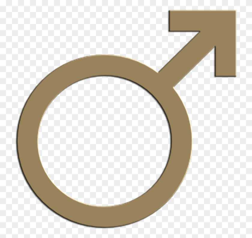 739x733 Mars Symbol Gay Gender Symbol, Key, Text, Alphabet HD PNG Download
