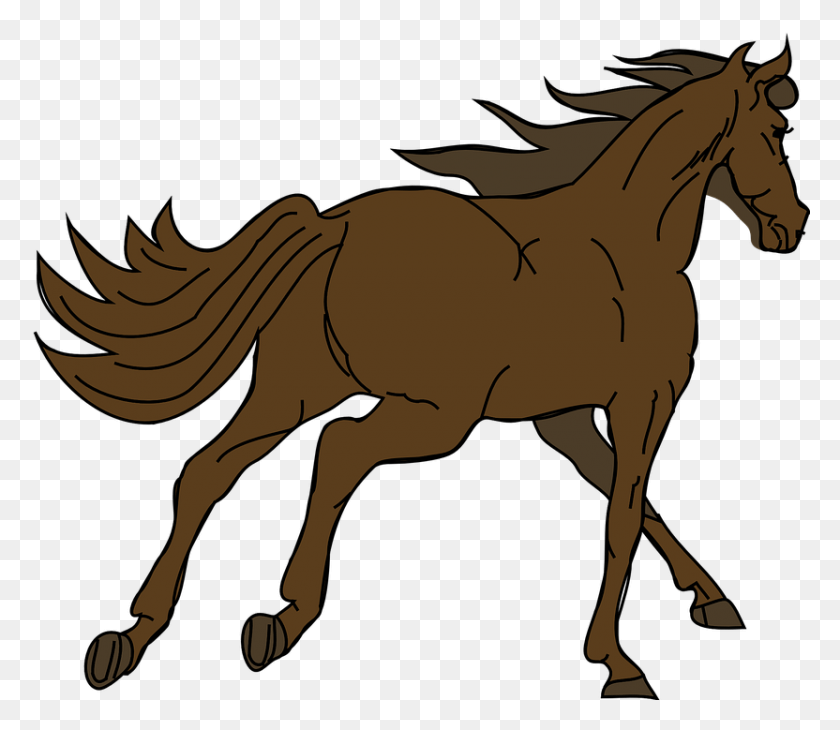 832x715 Marshawn Picture Running Horse Gif, Animal, Horse, Mammal HD PNG Download