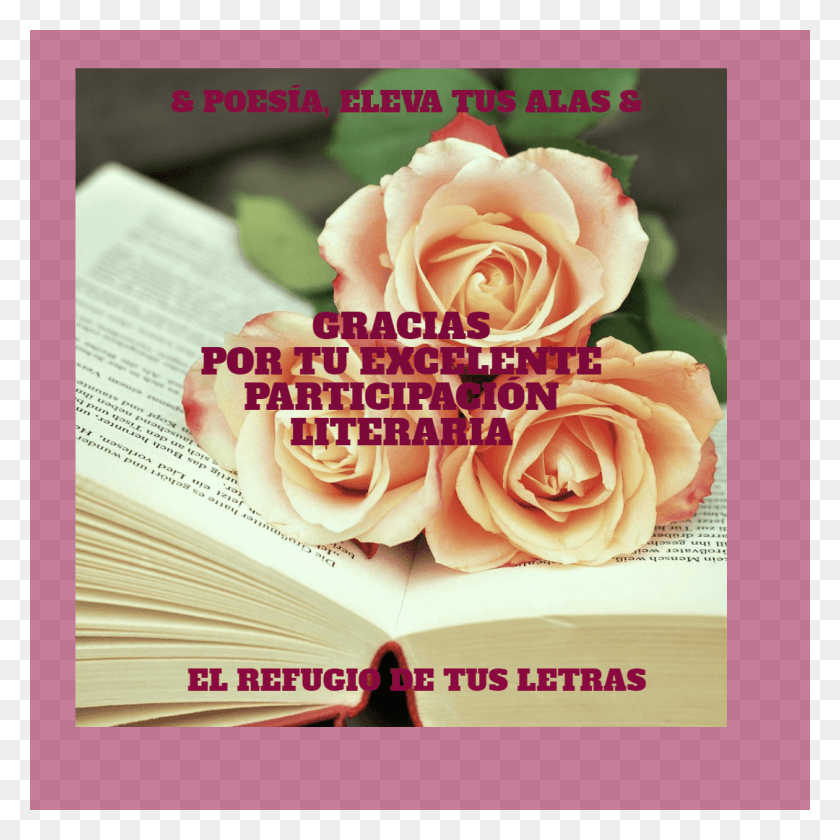 1080x1080 Martha Elena Ulloa Aguilar Rosas Book, Poster, Advertisement, Rose HD PNG Download