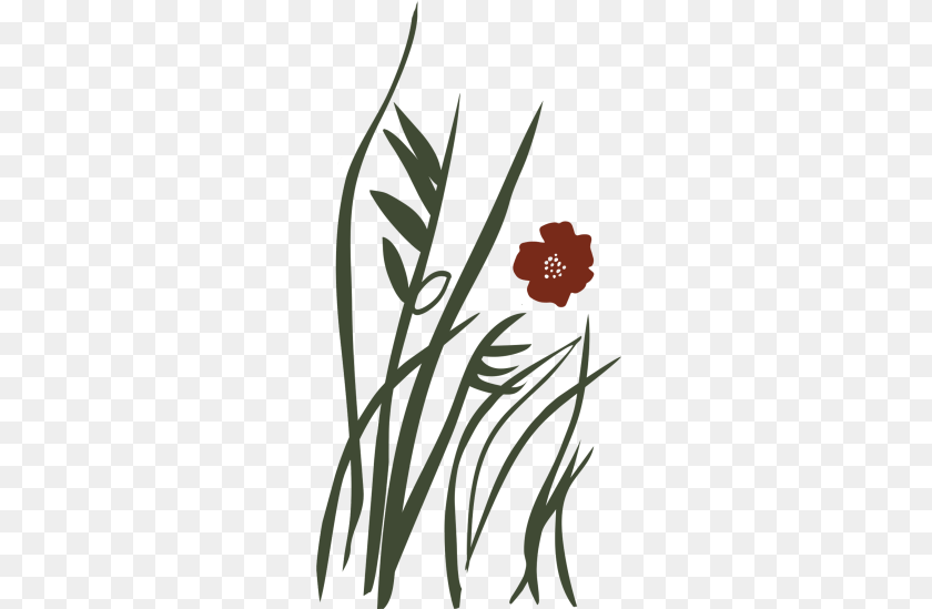 Marushka Designs, Flower, Plant Sticker PNG