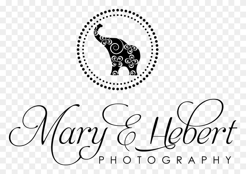 1690x1162 Mary E Hebert Photography New Hampshire Newborn And Vector Graphics, Gray, World Of Warcraft HD PNG Download