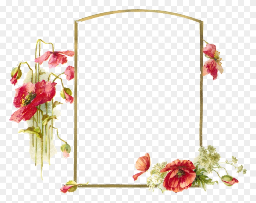 800x623 Mascaras Carton Etiquetas Lminas Vintage Bordado Frames For Album, Plant, Flower, Blossom HD PNG Download