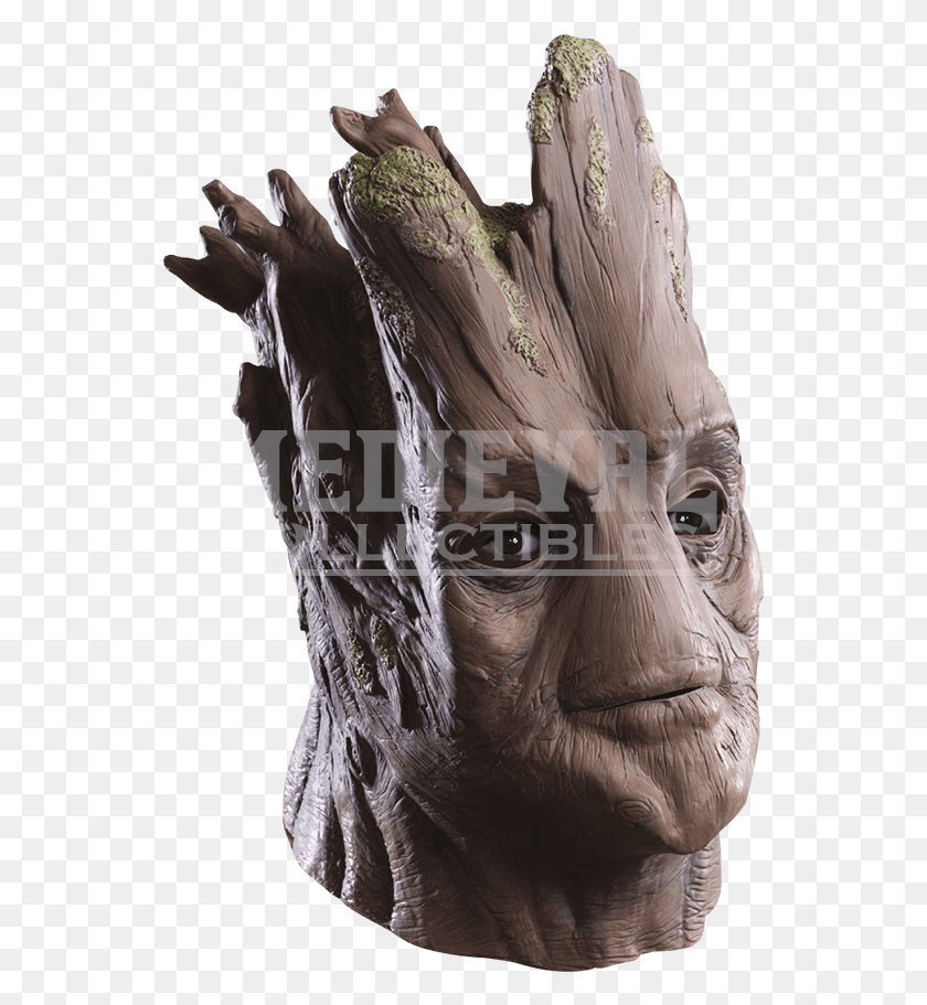545x851 Mask, Head, Face, Person HD PNG Download