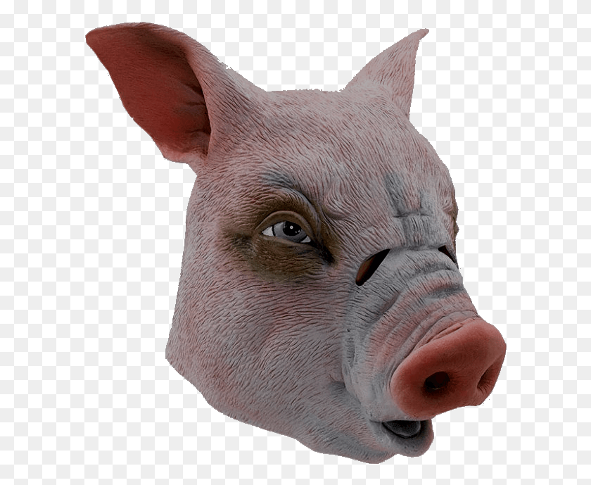 600x629 Máscara De Cerdo Presupuesto Cerdo Doméstico, Mamífero, Animal, Hocico Hd Png