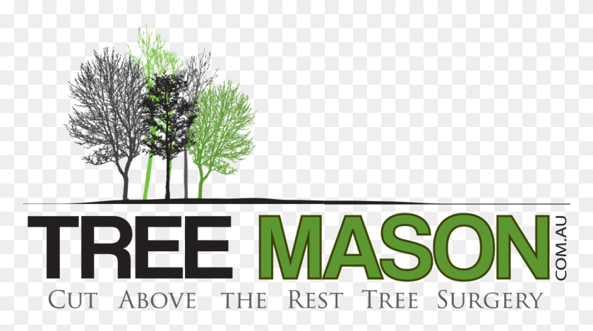 1106x581 Mason Tree, Plant, Vegetation, Word HD PNG Download
