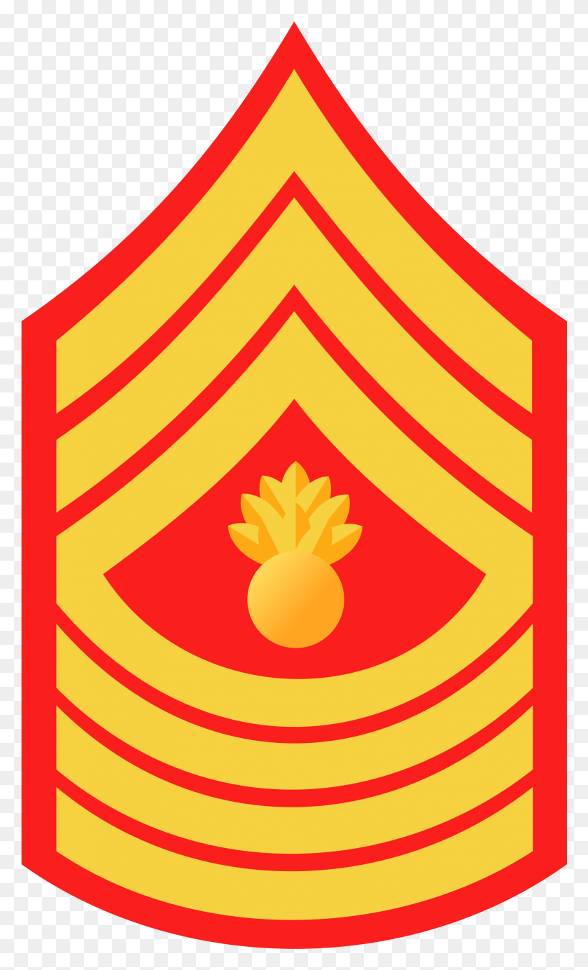 1973x3350 Descargar Png Sargento Mayor De La Infantería De Marina Png