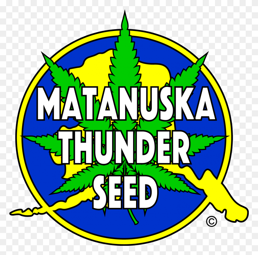 1460x1446 Matanuska Thunder Seed Logo Emblem, Lighting, Text, Symbol HD PNG Download