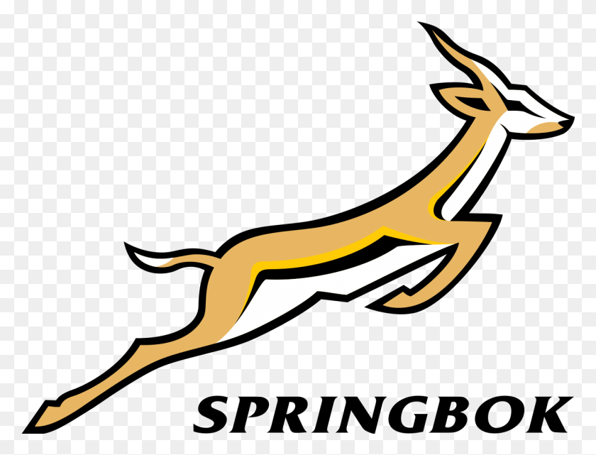 1200x895 Match Drawing Rugby Springbok Rugby Logo Vector, Antelope, Wildlife, Mammal HD PNG Download