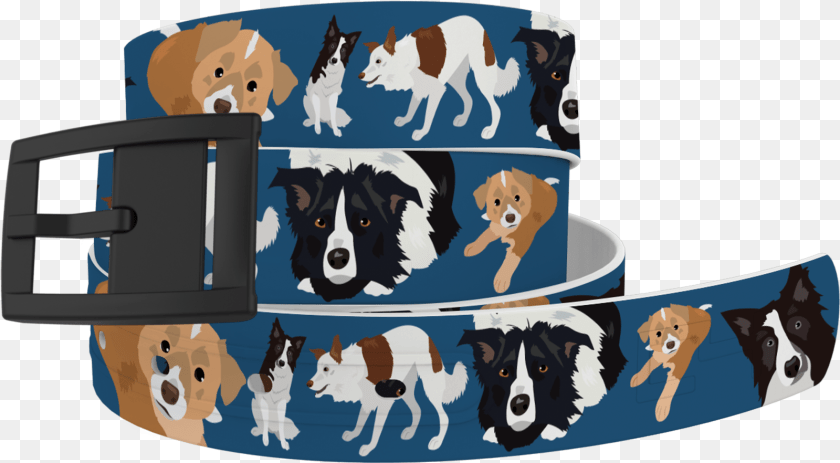 1600x882 Matching Border Collie Belt C4 Belts, Accessories, Animal, Canine, Dog Transparent PNG