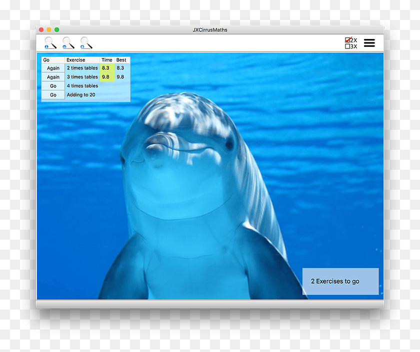 773x645 Descargar Png Mathsmacmain Whales In South Padre Island, Sea Life, Animal, Persona Hd Png