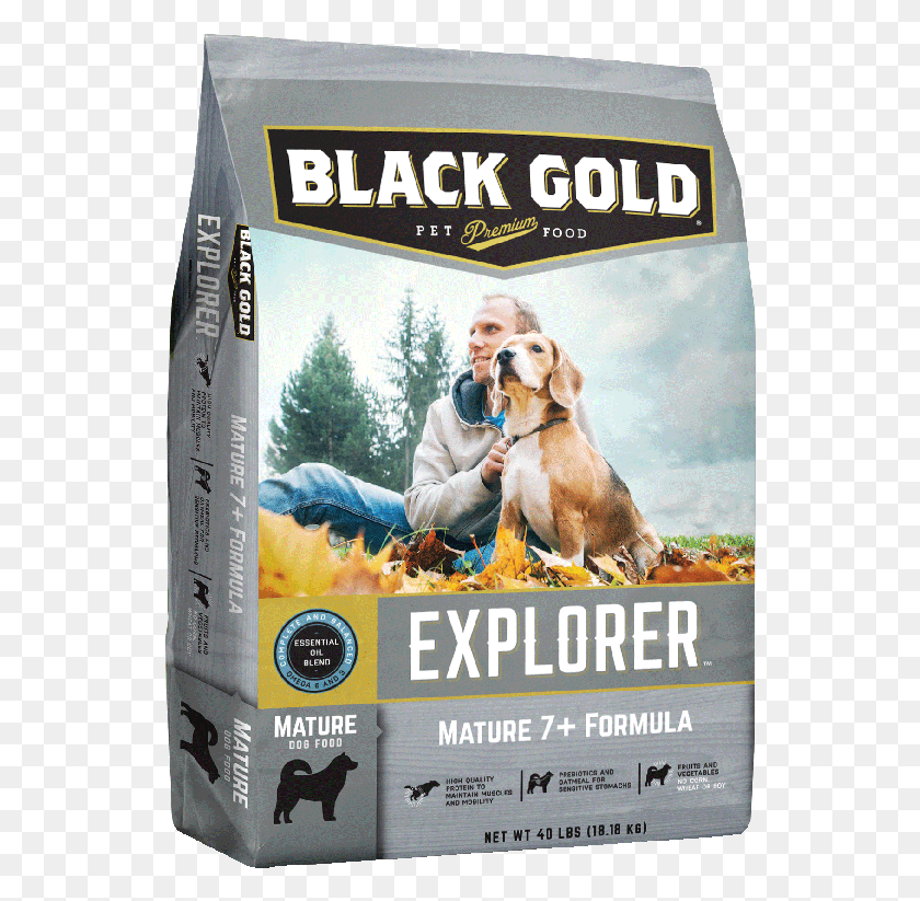 541x763 Mature 7 Black Gold Dog Food, Dog, Pet, Canine HD PNG Download