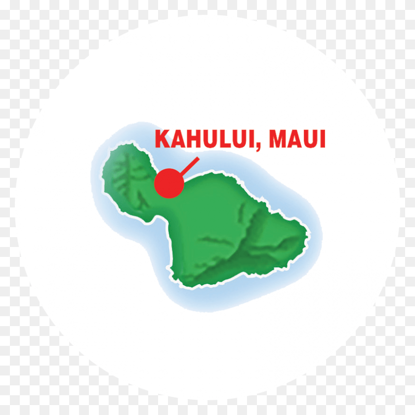 800x800 Maui Illustration, Ketchup, Food, Land HD PNG Download