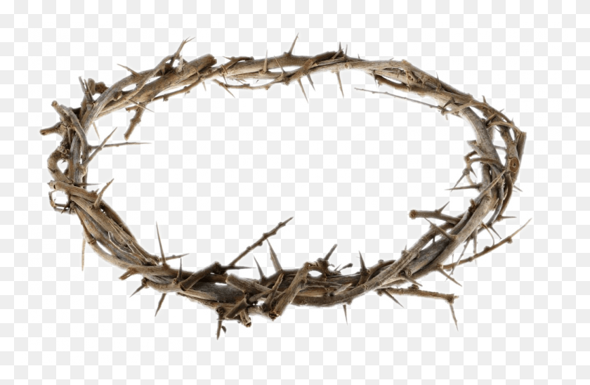 1037x650 Maundy Thursday April Twig, Wood, Antler, Animal HD PNG Download