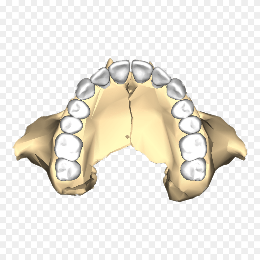900x900 Maxilla Inferior, Body Part, Face, Head, Mouth Clipart PNG