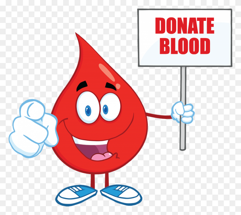 800x709 Png Донорство Крови