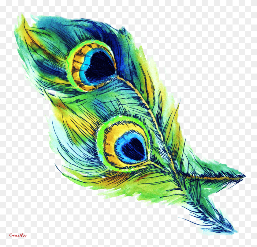 1226x1174 Mayilpeeli Peacock Feather Art, Bird, Animal, Chicken HD PNG Download