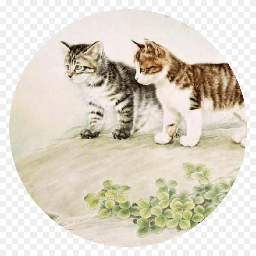 1009x1009 Mc Kittens H A D Originals Outdoor Grey Headbands Chinese Painting Cats, Manx, Cat, Pet HD PNG Download