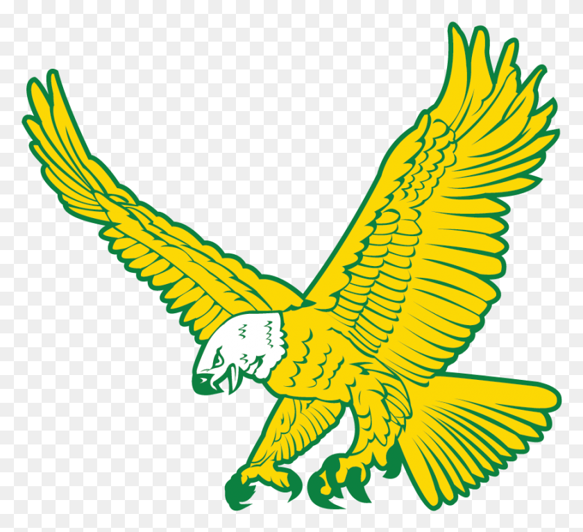 870x788 Mckenzie School District Home Of The Eagles Golden Eagle, Bird, Animal, Flying HD PNG Download