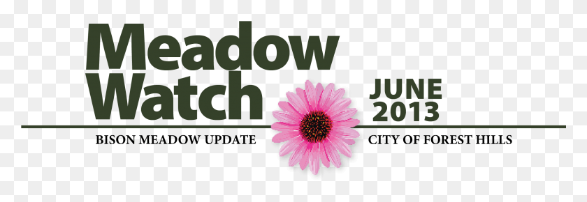 2376x703 Meadow Watch Hedder Leaf Logo Design, Plant, Daisy, Flower HD PNG Download