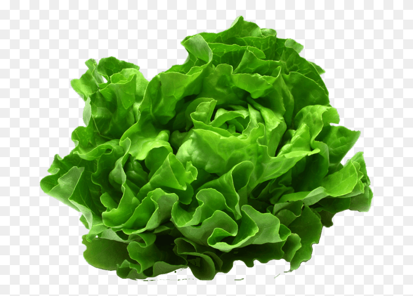 681x543 Meals Leafy Green Vegetables, Plant, Lettuce, Vegetable HD PNG Download