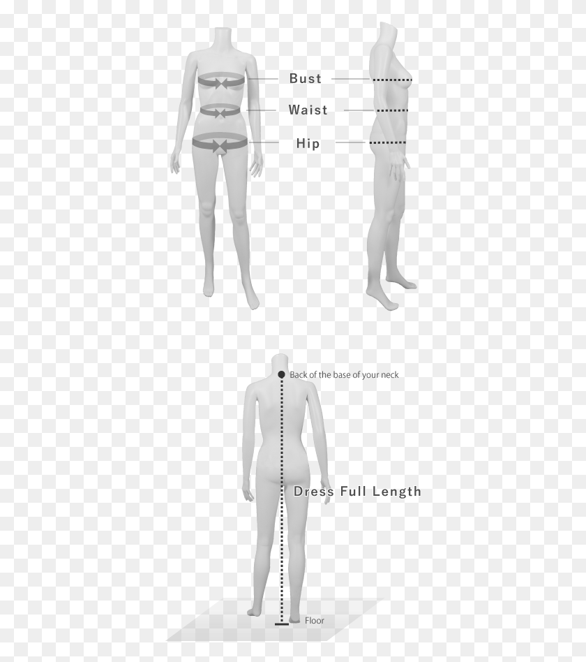 368x888 Measuring Along The Fullest Part Of Your Chest Wrapping Standing, Person, Human, Clothing HD PNG Download