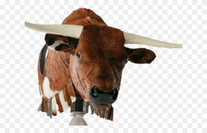 640x480 Mechanical Bull Sales, Cow, Cattle, Mammal HD PNG Download