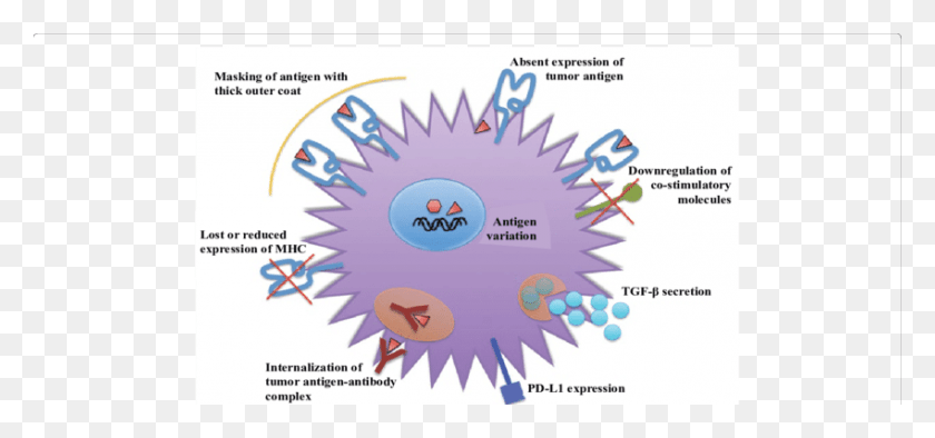850x364 Mechanisms Of Evasion Of Immune System By Tumor Cells Red Star For Certificate, Purple, Flyer, Poster HD PNG Download