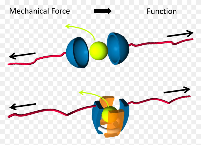 935x655 Mechano Summary Mechanochemistry, Light, Graphics HD PNG Download