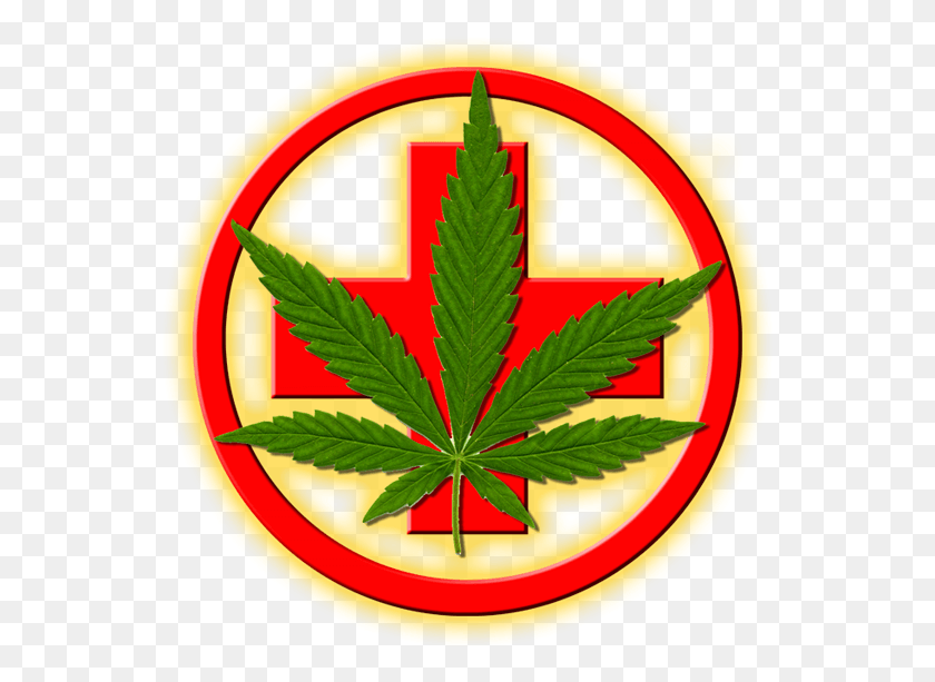 553x553 Medical Marijuana Weed Medical, Plant, Leaf, Symbol HD PNG Download