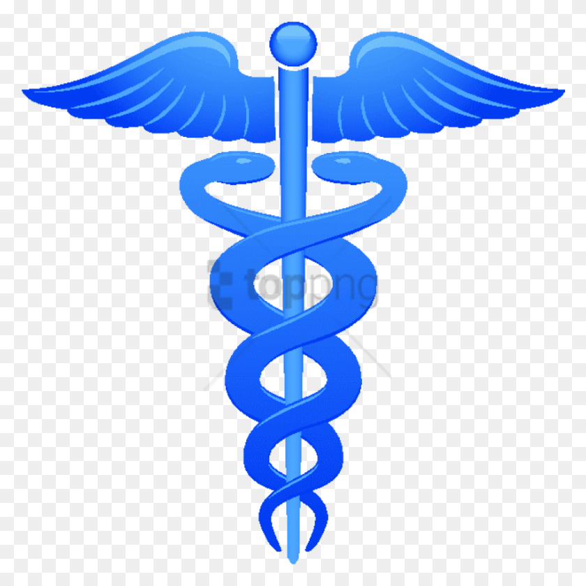 850x849 Símbolo Médico Cuidado De La Salud Símbolo Médico, Pájaro, Animal, Cruz Hd Png