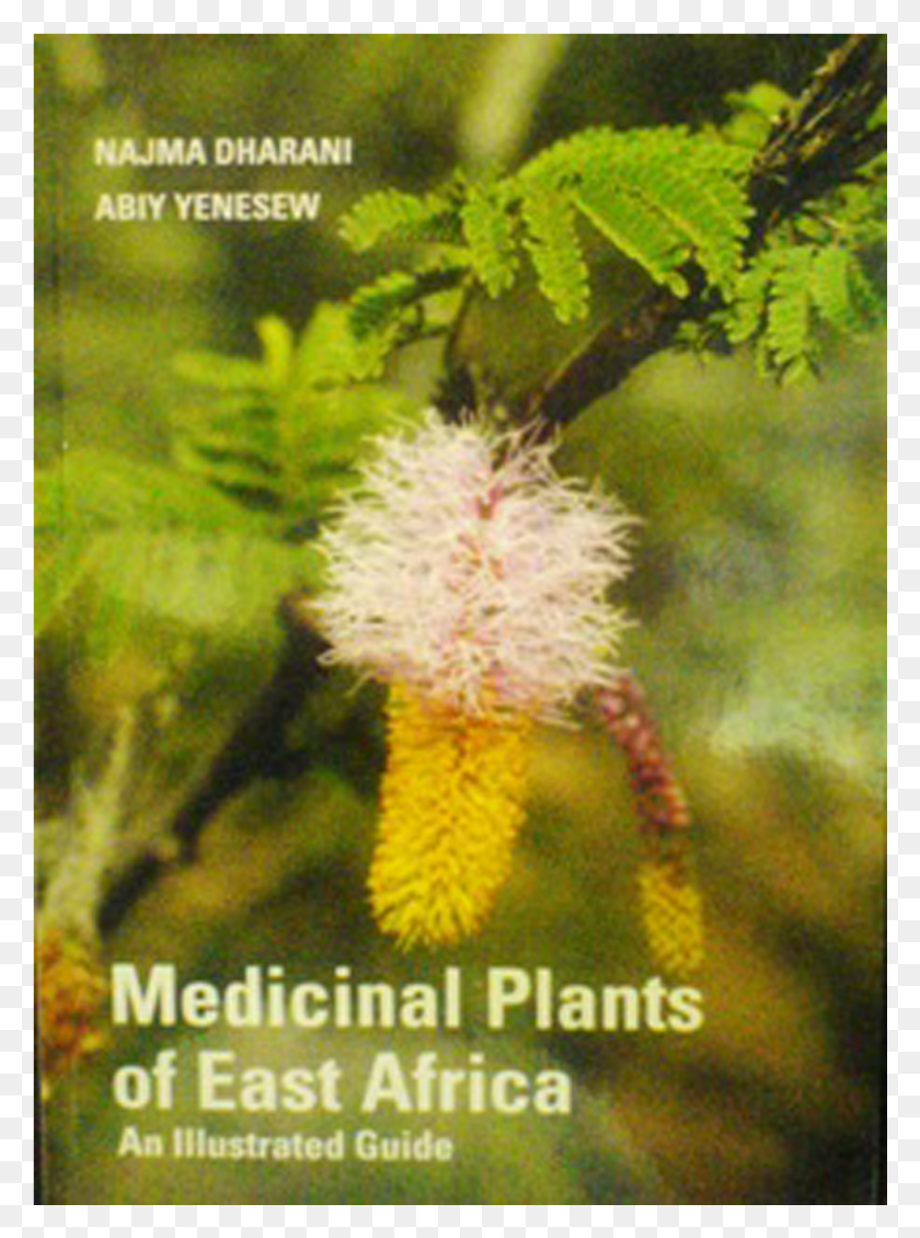 981x1346 Medicinal Plants Of Ea By N Book Trees East Africa, Plant, Tree, Conifer HD PNG Download