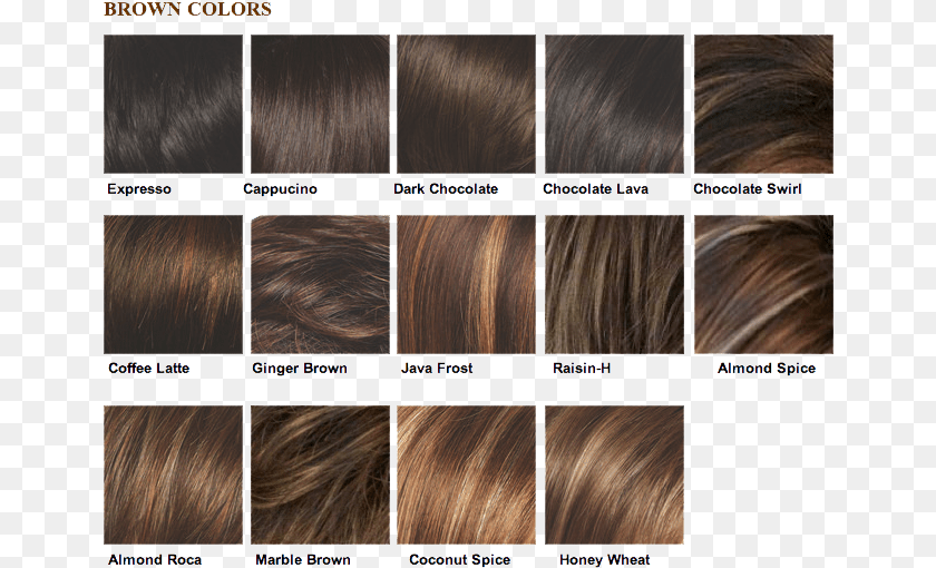 Medium Brown Hair Color Shades, Art, Collage, Adult, Female Clipart PNG