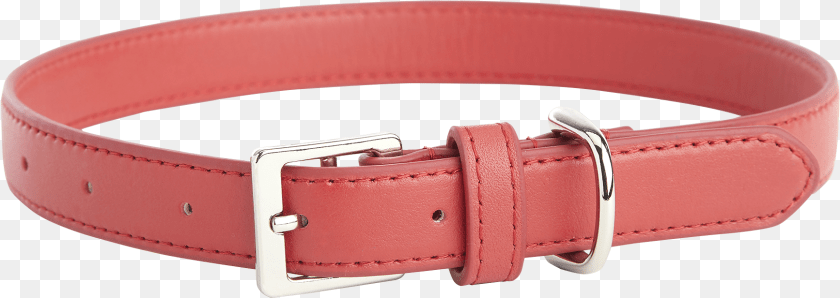 1734x616 Medium Dog Collar Solid, Accessories, Belt, Buckle Clipart PNG