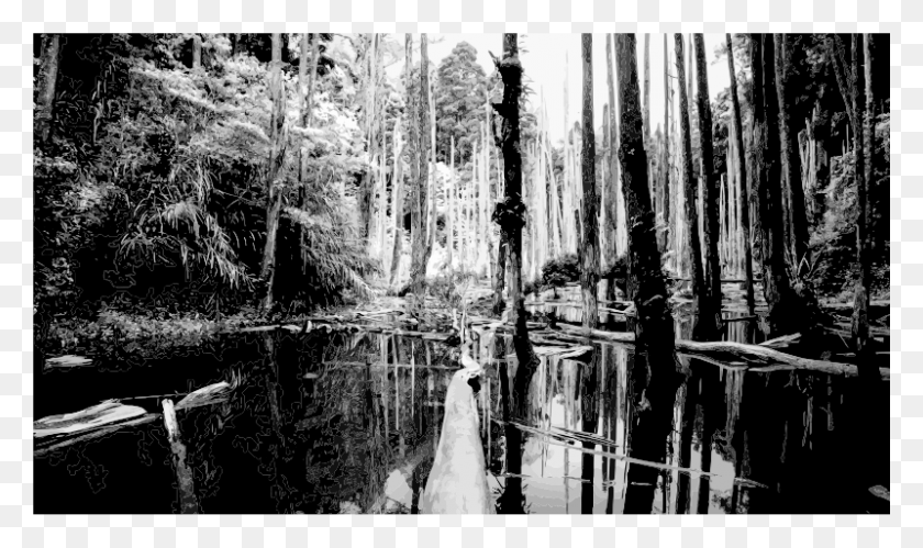 800x451 Medium Image Black And White Wetland, Land, Outdoors, Nature HD PNG Download