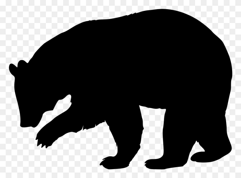 884x634 Средний Силуэт Черного Медведя, Серый, Мир Варкрафта Png Скачать