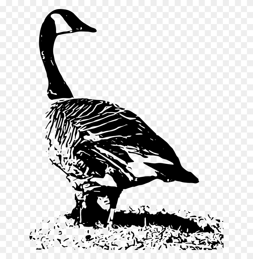 646x800 Medium Image Canada Goose Clipart Black And White, Gray, World Of Warcraft HD PNG Download