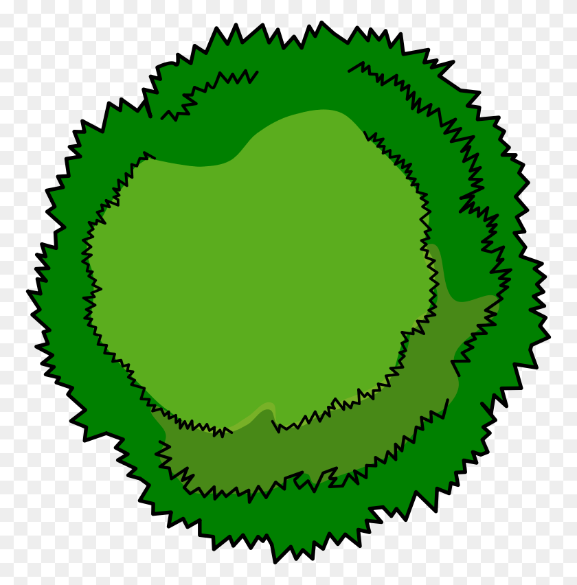 766x792 Medium Image Cartoon Tree Top View, Green, Plant, Vegetable Descargar Hd Png